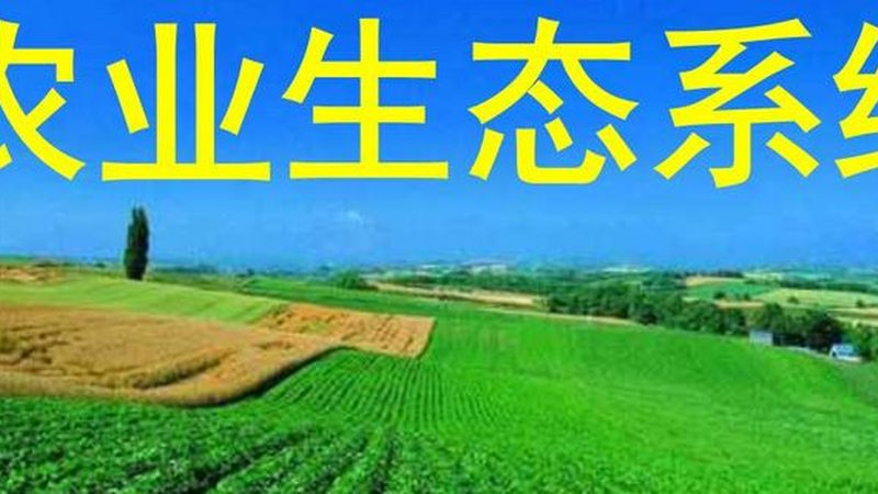大棚种植技术：批发价格背后的考量因素**
