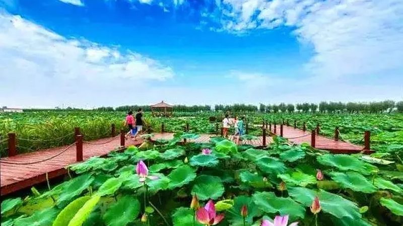 土壤改良：如何选择合适的加盟代理