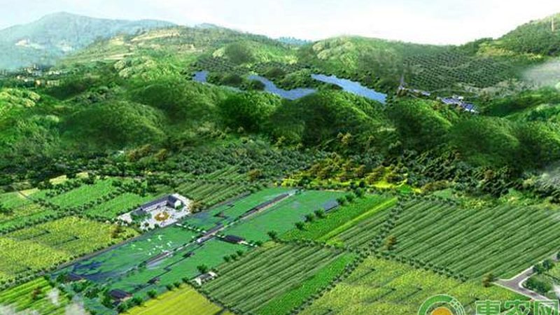 农业种植基地承包全流程解析**