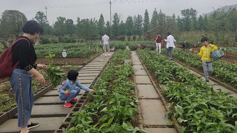 果蔬配送合同范本：构建稳定供应链的关键要素
