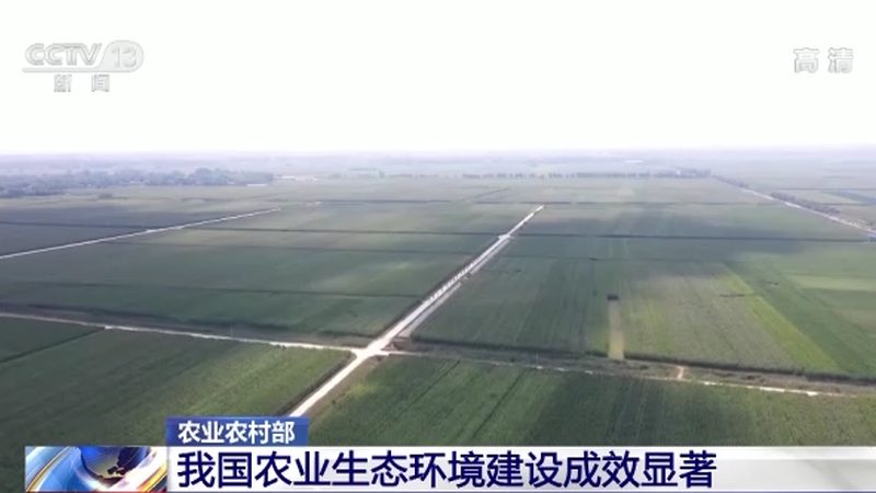 智慧农业产业园运营管理手册：构建高效农业生态圈的关键要素