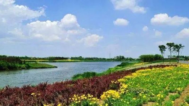 农产品批发商进货退换货规则：合规保障与行业规范