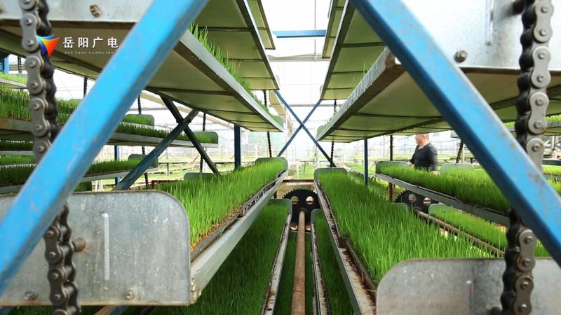 智能粮食种植机械化设备：参数解析与选型逻辑