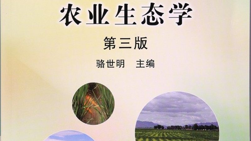 上海家庭果蔬配送：如何选择优质服务？**