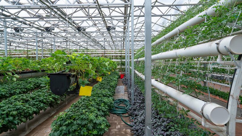 农业种植加盟，合规资质是关键**