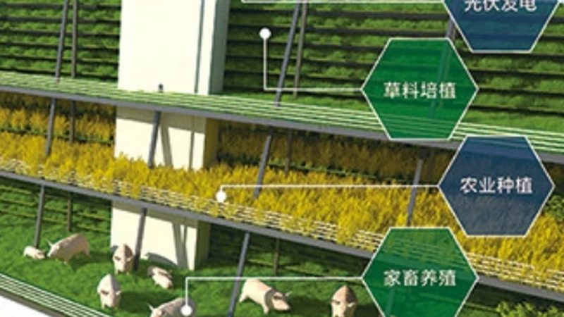日光温室造价里藏着哪些隐形账