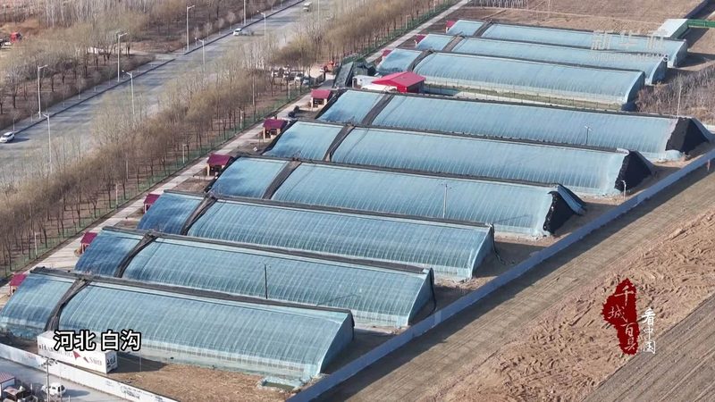 小型种植户农资批发与零售区别