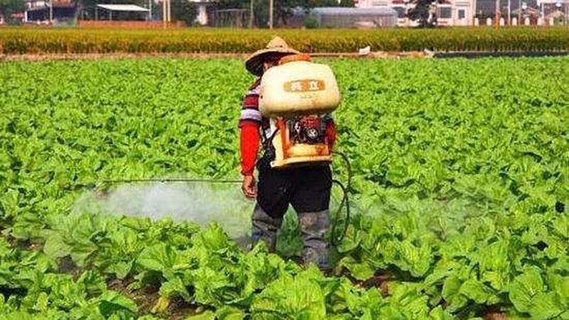 农资招标选平台，别让信息差吃掉你的利润